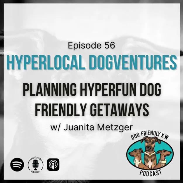 Podcast promo logo for hyperlocal and dog friendly travel. 