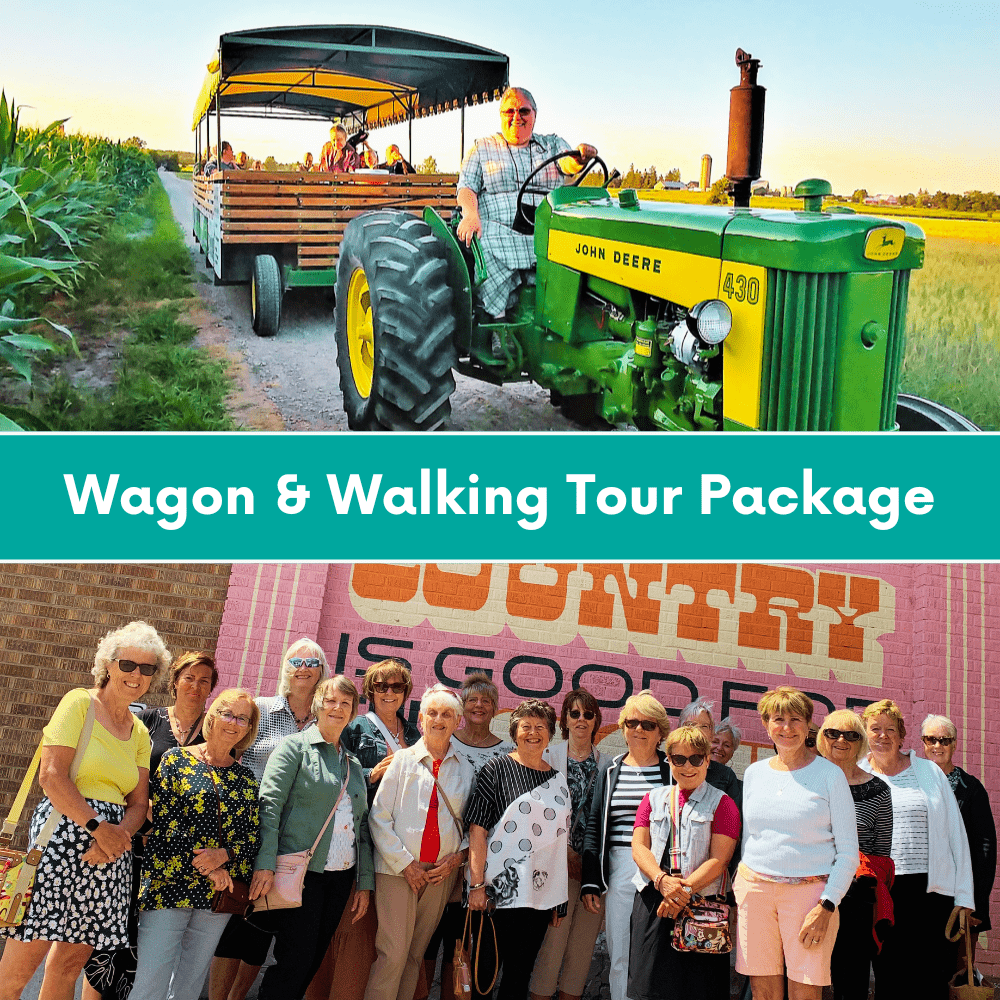 ELMIRA WAGON RIDES + STROLL WALKING TOURS (1000 x 1000 px) (1)