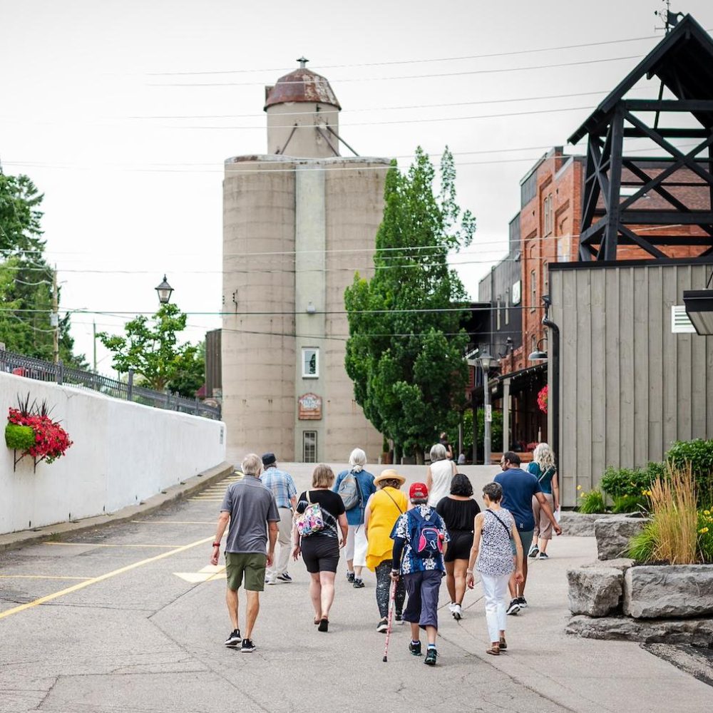 a walking tour group walks toward the St Jacobs flour mill