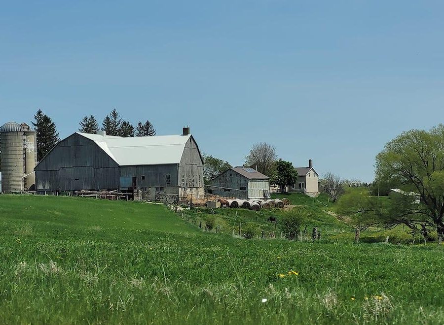 Mennonite farm in St Jacobs seen from the Elmira Wagon Tours route.